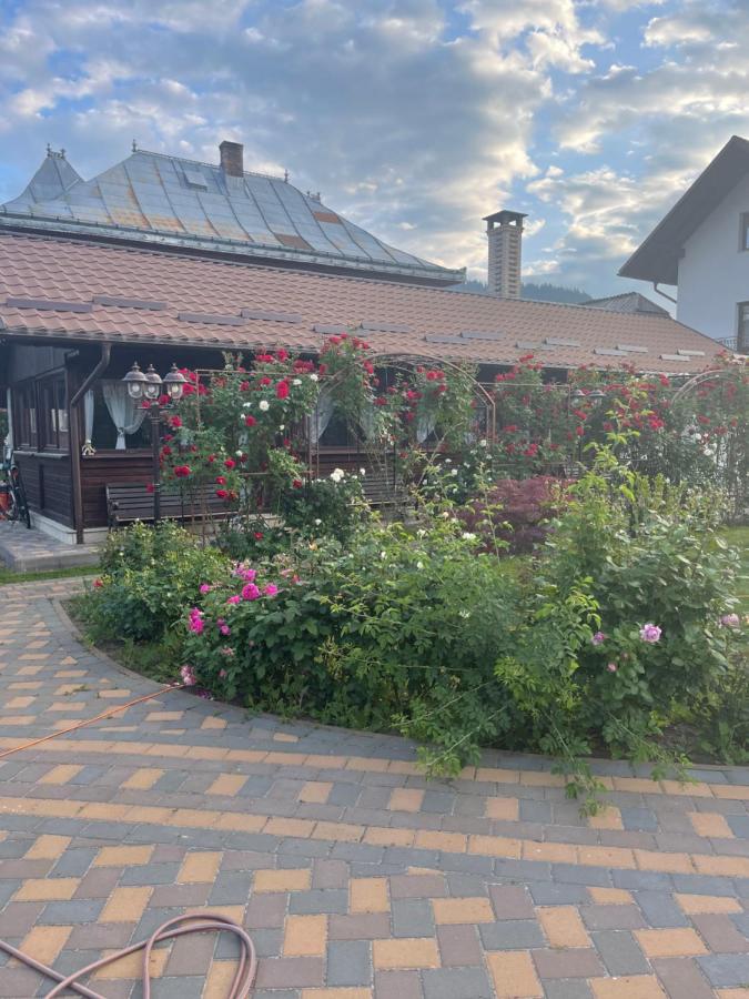 Vila ESQ - B&B Câmpulung Moldovenesc