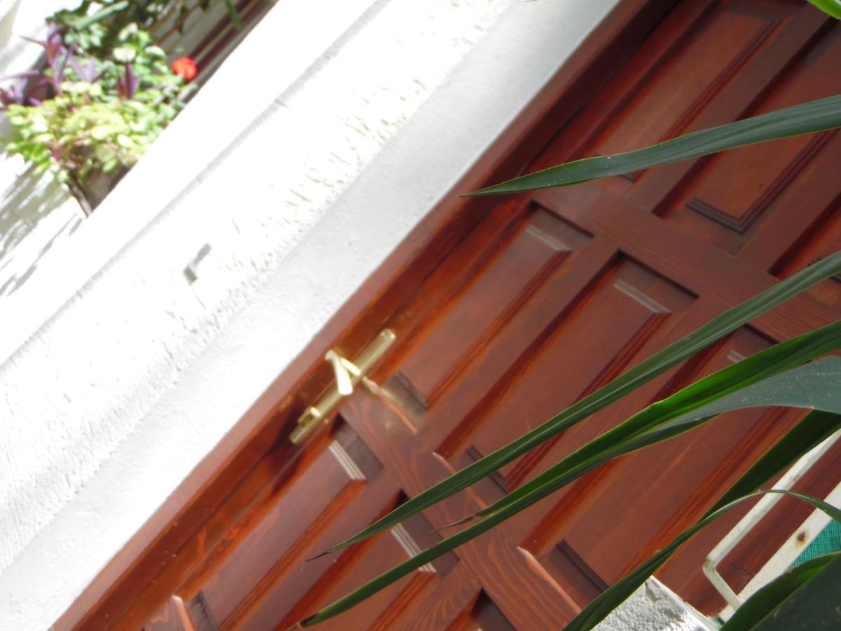 Studio Kalenic - B&B Belgrado