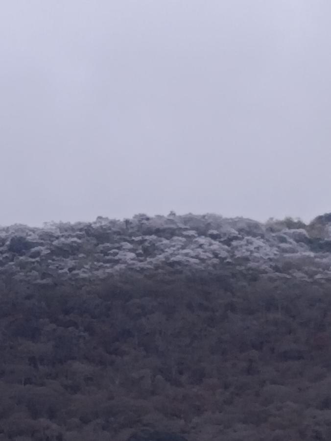 dpto en pleno tres cerritos salta muy cerca de la virgen del cerro - B&B Salta