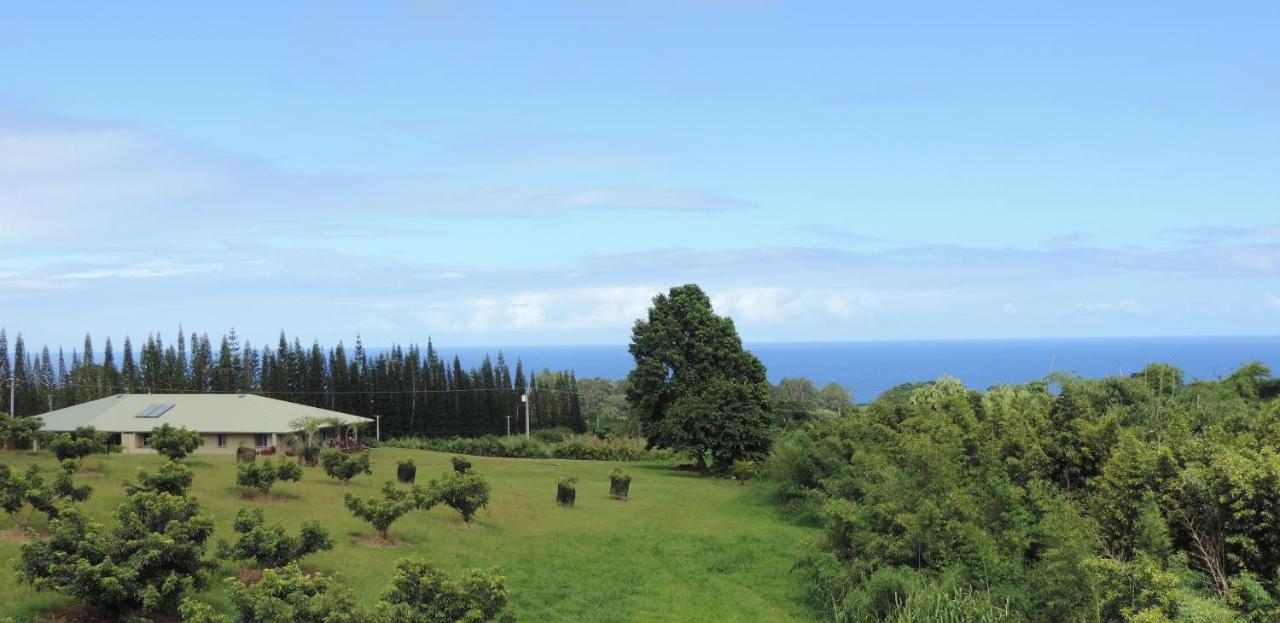 Suite King con Vista Oceano