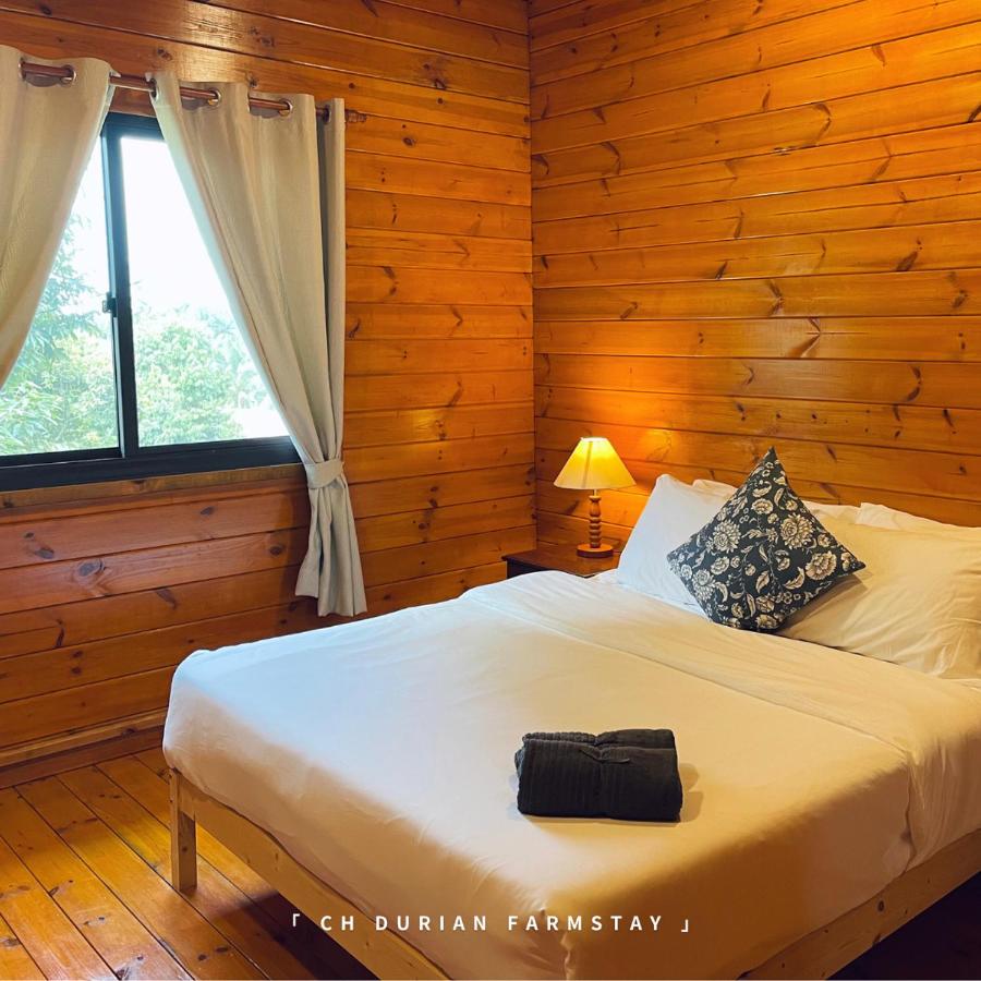 Queen Room with Garden View