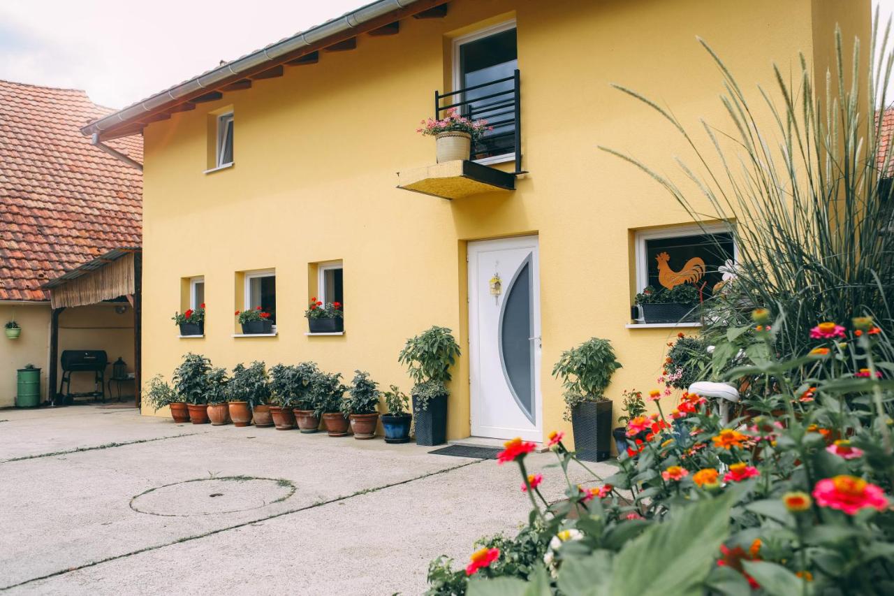 Gîte à la ferme - B&B