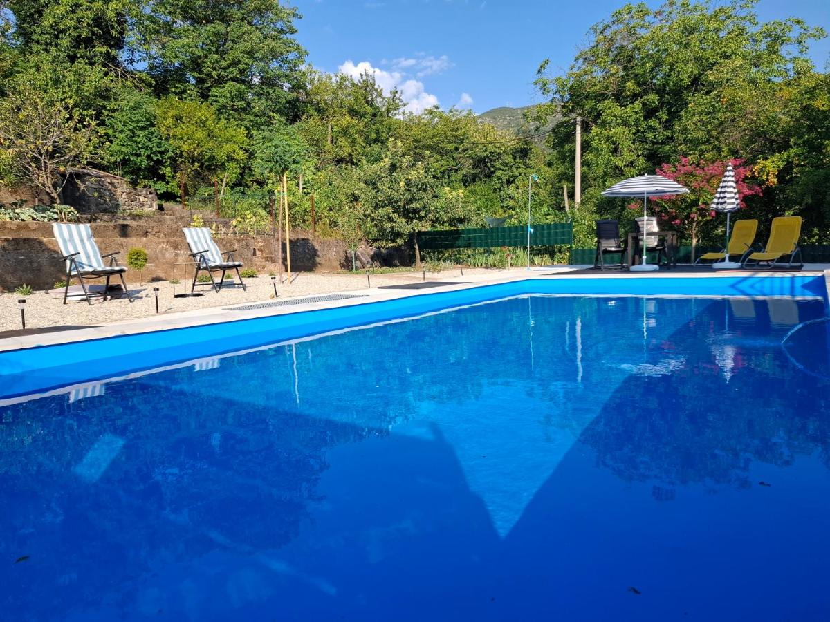 Apartman ZORA s bazenom - B&B