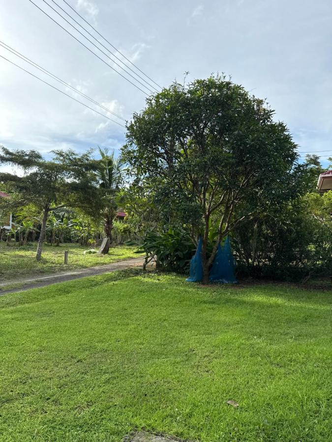 Thanid House - B&B