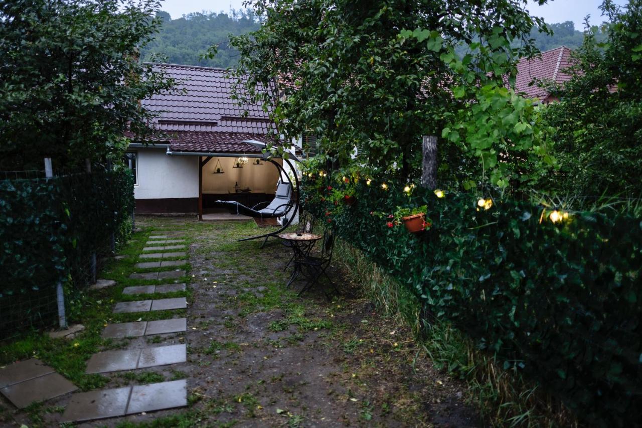 Casa MOMO - Chambres d’hôtes Sighișoara