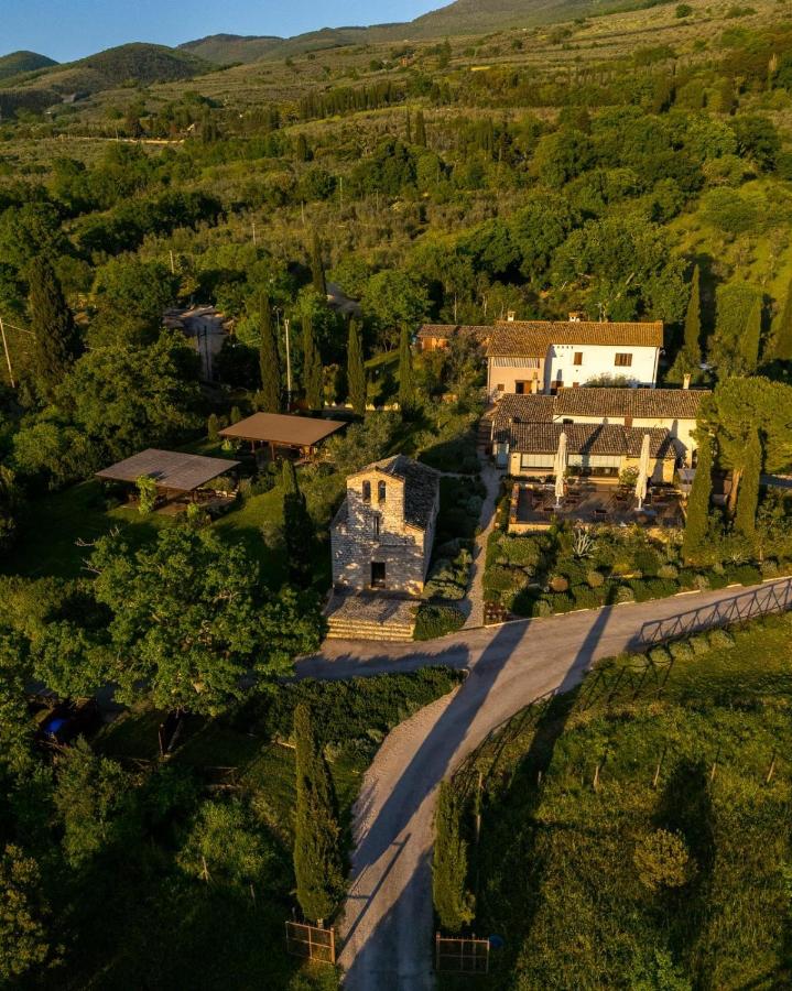 Tenuta San Pietro a pettine - B&B Santa Maria in Valle