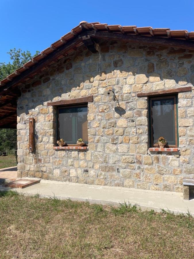 Casa Vacanze
