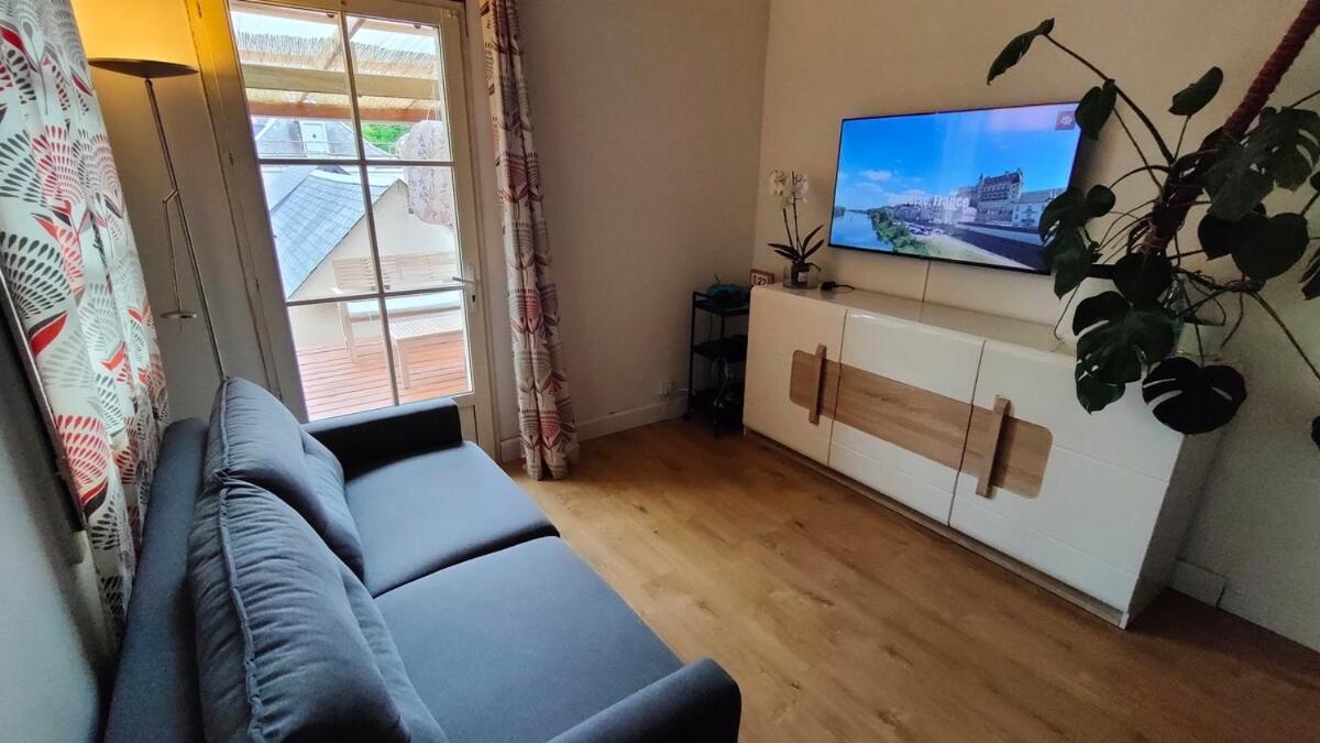 Studio Amboise, parking, terrasse et jardin - B&B