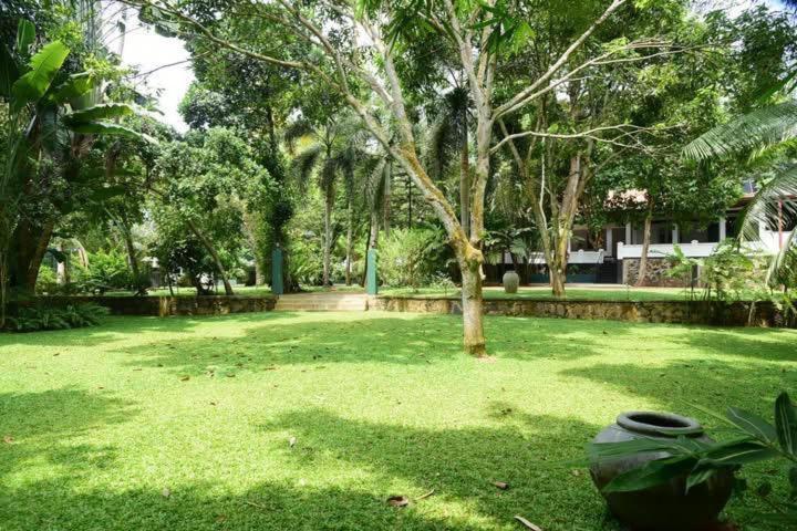 Mango Breeze Hikkaduwa - B&B Gonapinuwala West