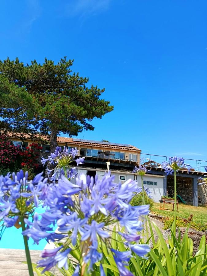 Au Cammazou - B&B