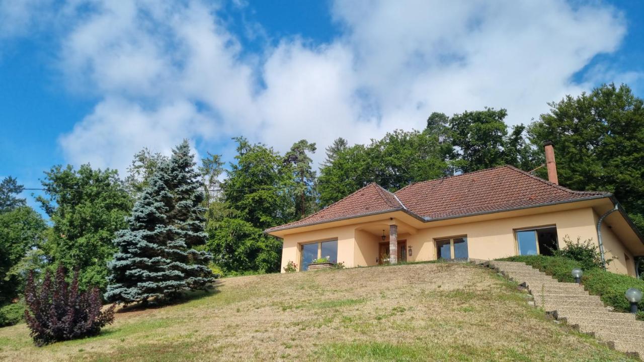 Villa Bellevue - Chez Oma - Ferienwohnung Wingen-sur-Moder