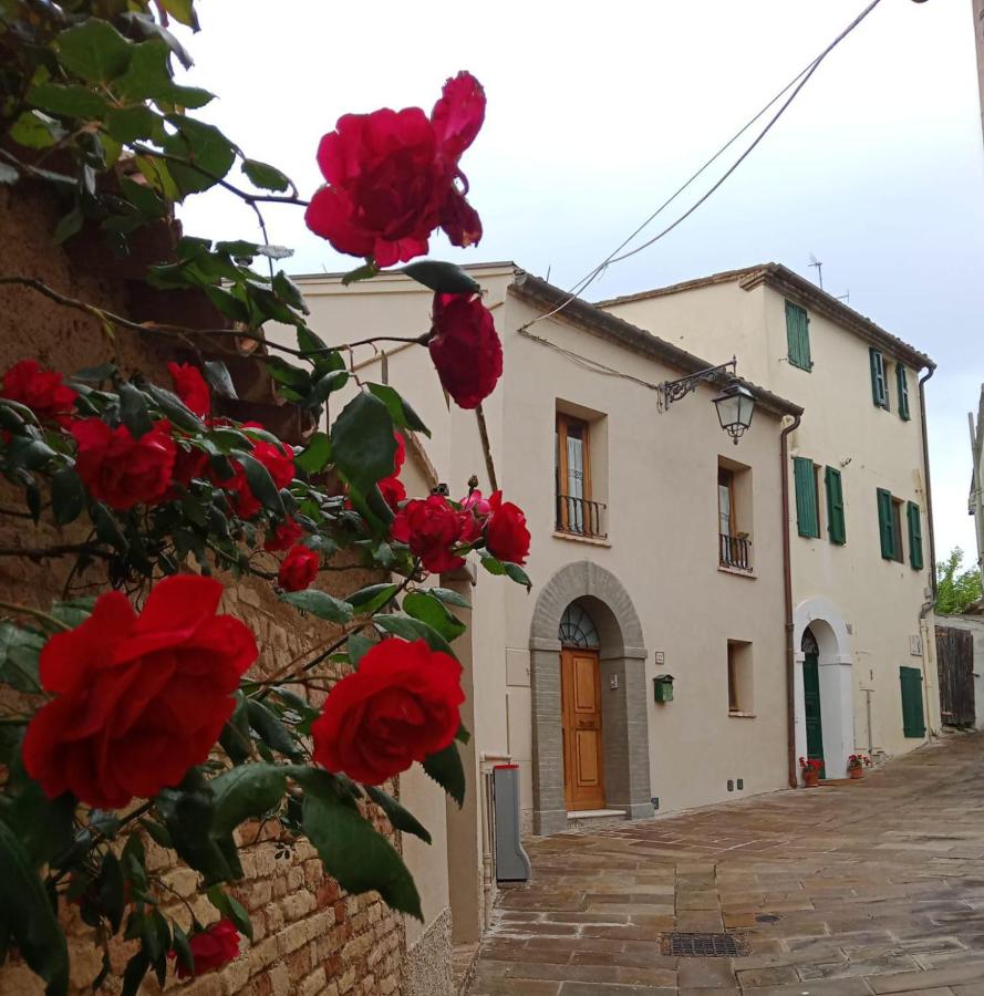 Il Pettirosso - Ferienwohnung Castel d'Emilio