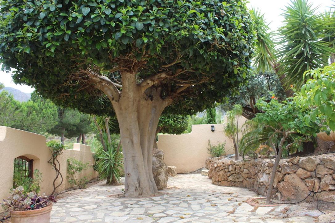 Casa Pia - B&B Turre