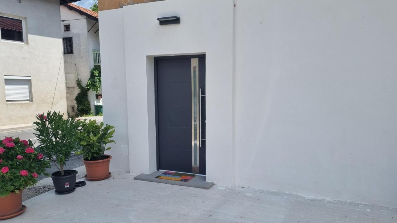 Apartma Danica - Ferienwohnung Idrsko