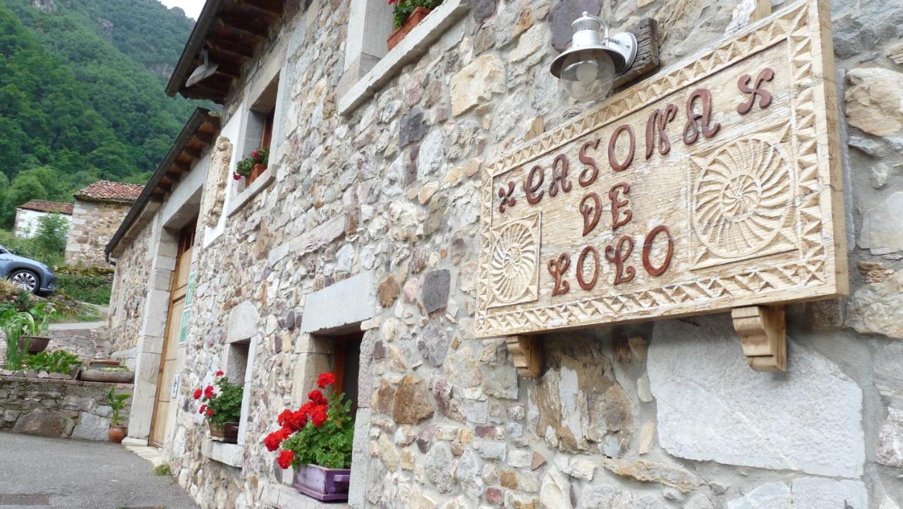 Apartamentos Rurales CASONA DE LOLO - B&B