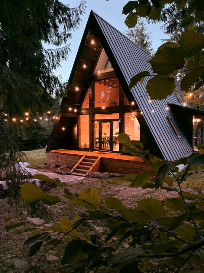 Black Raven Cabin - Bed and Breakfast Topliţa