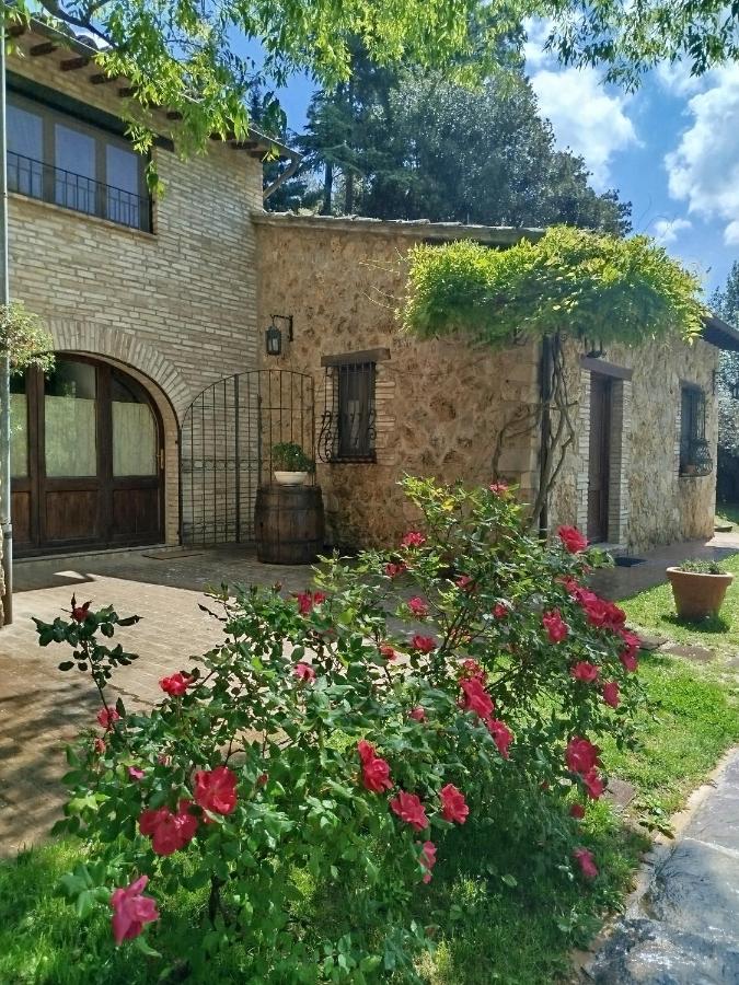 All'Ombra di San Damiano - Bed and Breakfast Assisi
