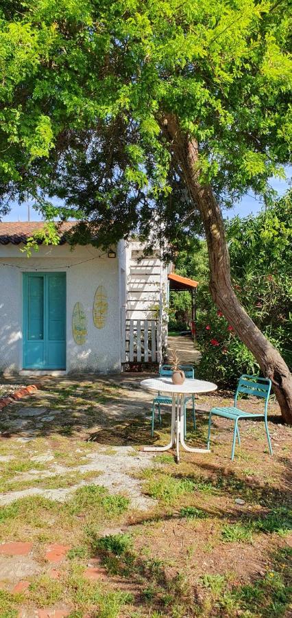 Surf house El Palmar - Bed and Breakfast El Palmar