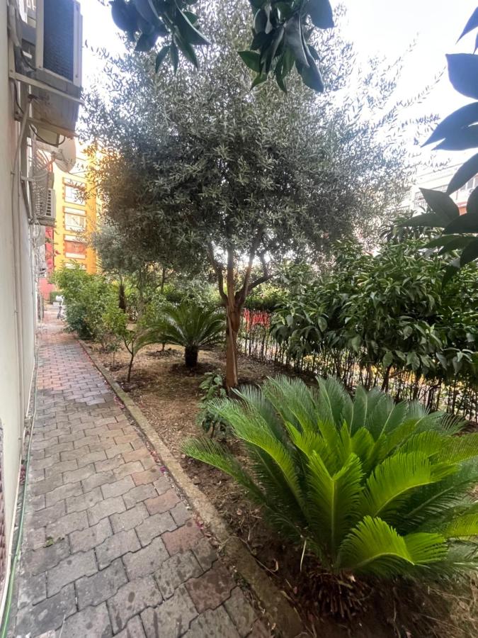 Apartment Crystal Comfort Stylish Spotless - Bed and Breakfast Tirana