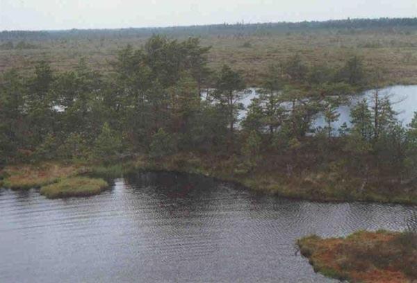 Bungalow I (4 Erwachsene) 