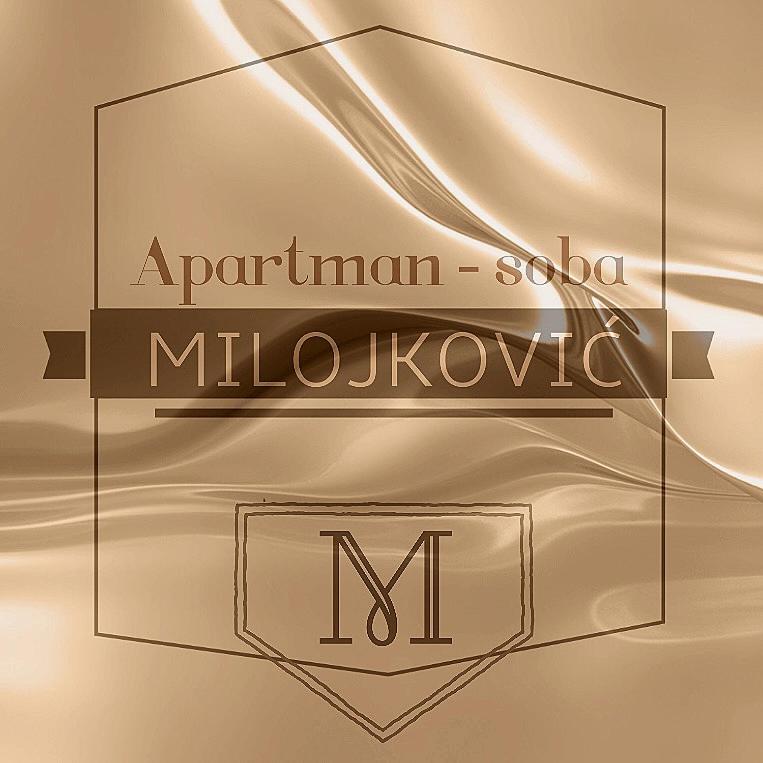 Apartman studio Milojkovic - B&B