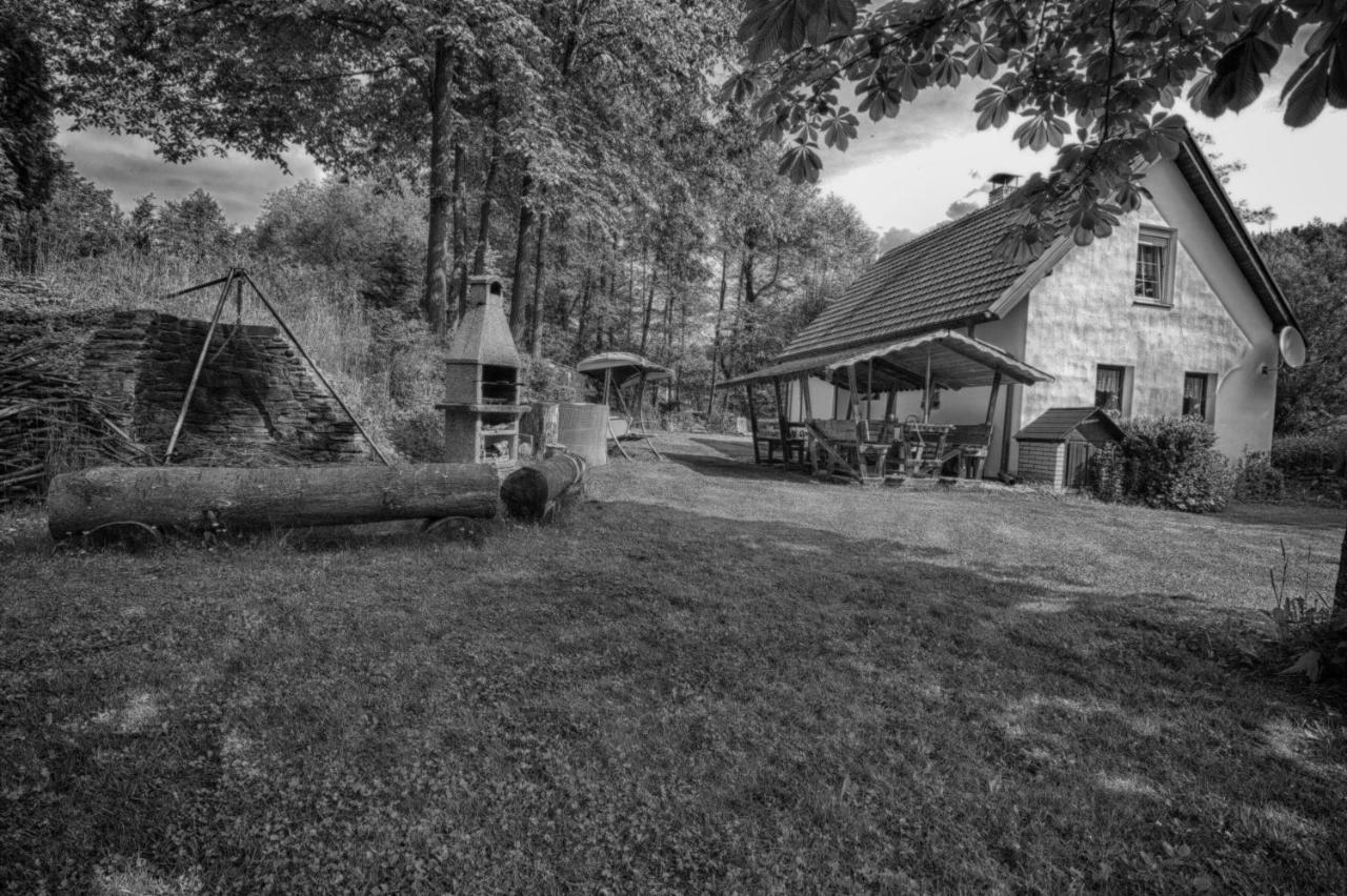 Chalet (11 Adults)