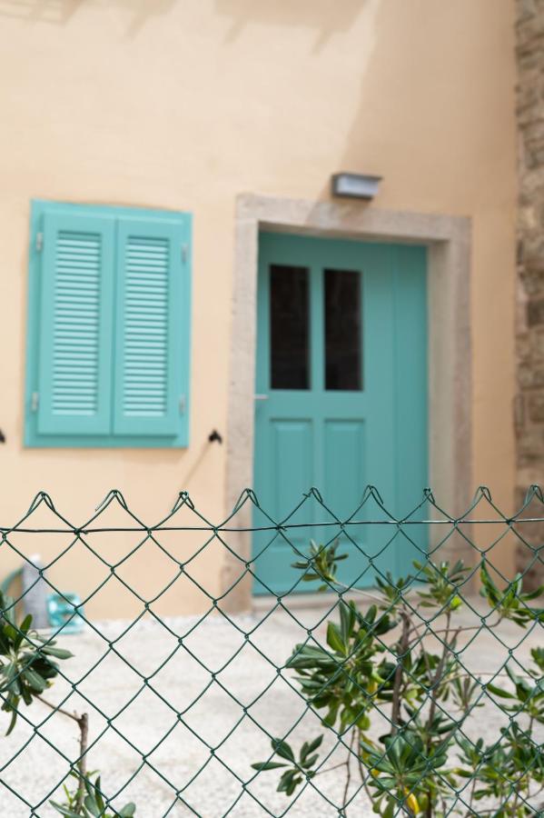 Apartamento de 1 dormitorio con terraza