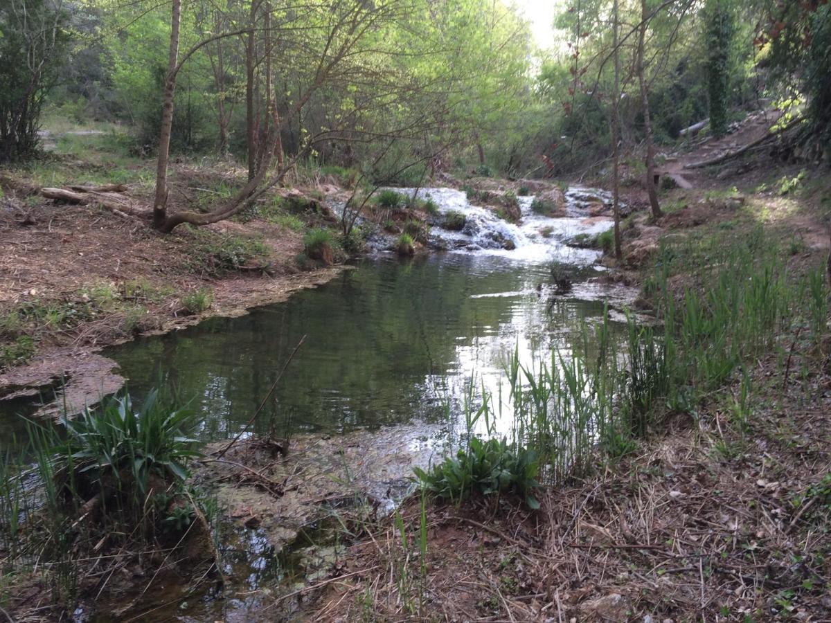 Can Morei - B&B Orpí