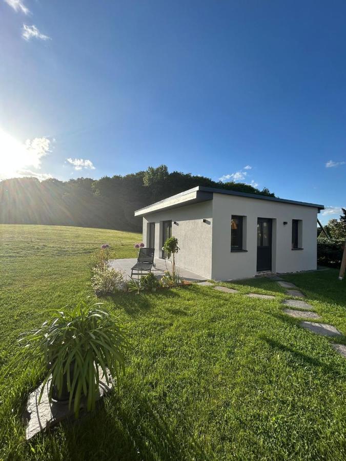 Holiday House with terrace & sauna - B&B Concordiaplatz