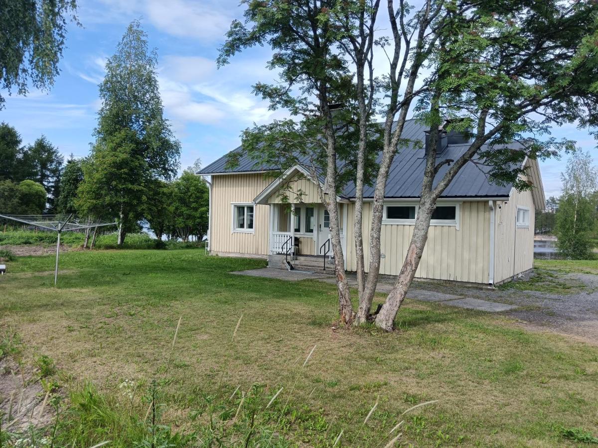 Pielinen - B&B