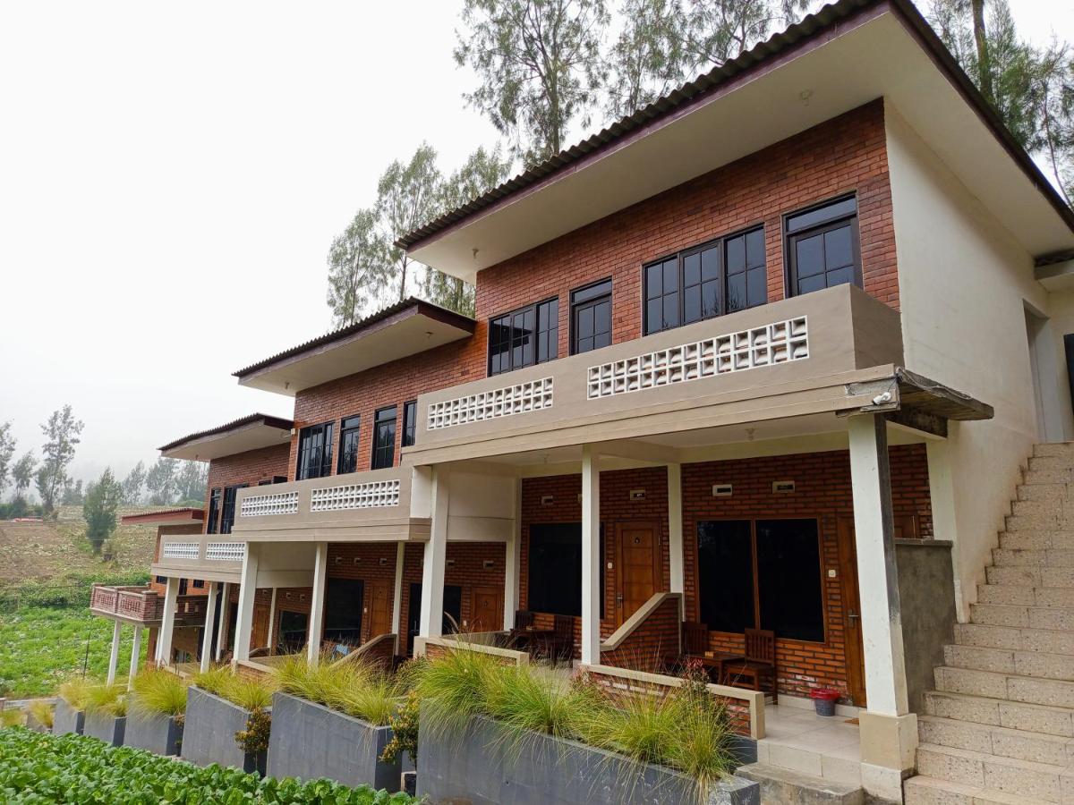 Ikiikahomestay - B&B