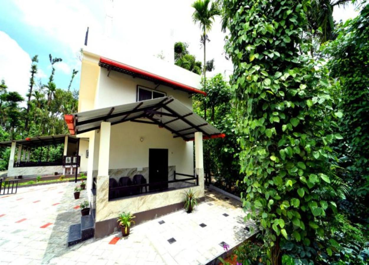 Double or Twin Room with Terrace