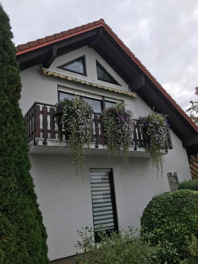 Ferienwohnung am Weinberg - Ferienwohnung Langenlonsheim