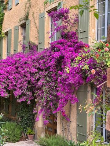 Maison Jacotte orange - B&B