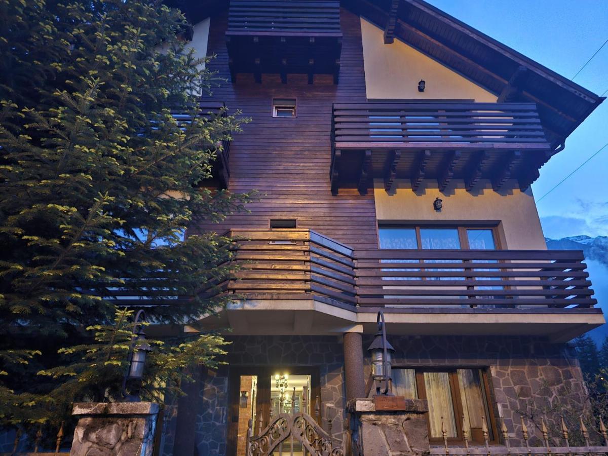 Caprioara Room's - B&B Buşteni