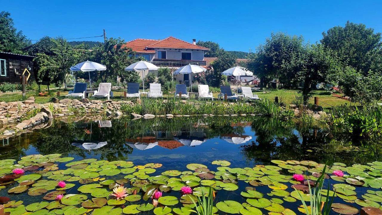 Calla Retreat - B&B