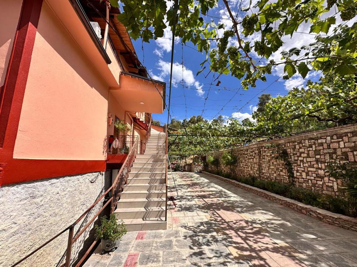 Zholi Guest House - B&B Argirocastro