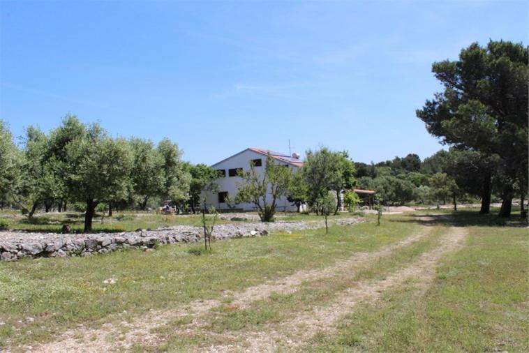 Appartement - Rez-de-Chaussée