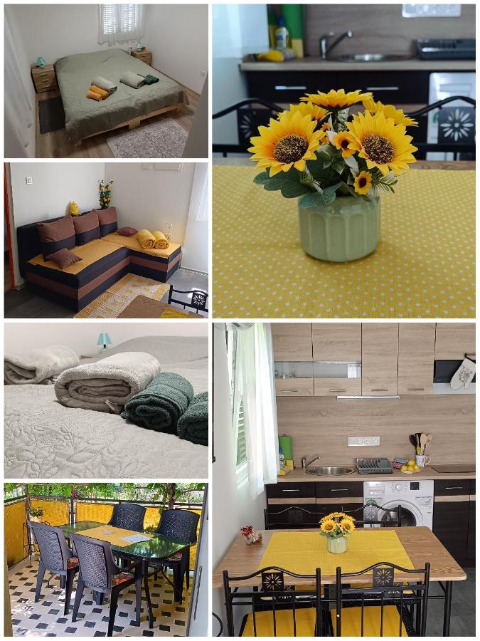 Kicsi Rigó Nyaralóház - B&B