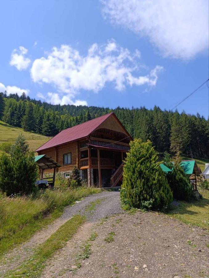 Лісовик - B&B