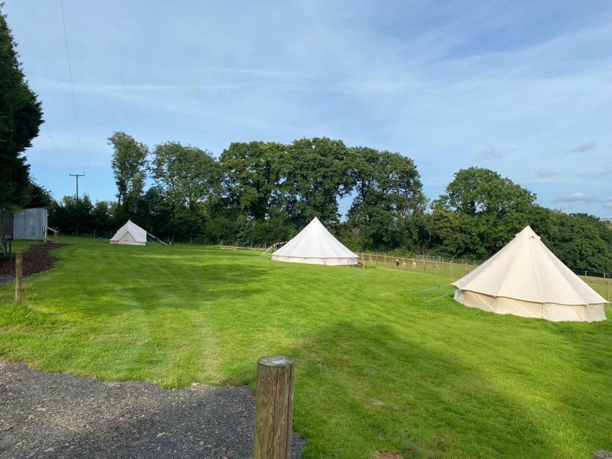 Hendre Glamping Retreat- The Sparrow's Nest - B&B