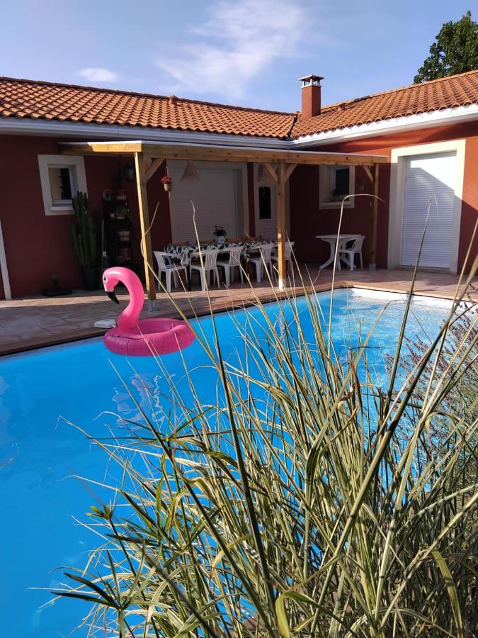 Maison spacieuse avec piscine et jardin - B&B