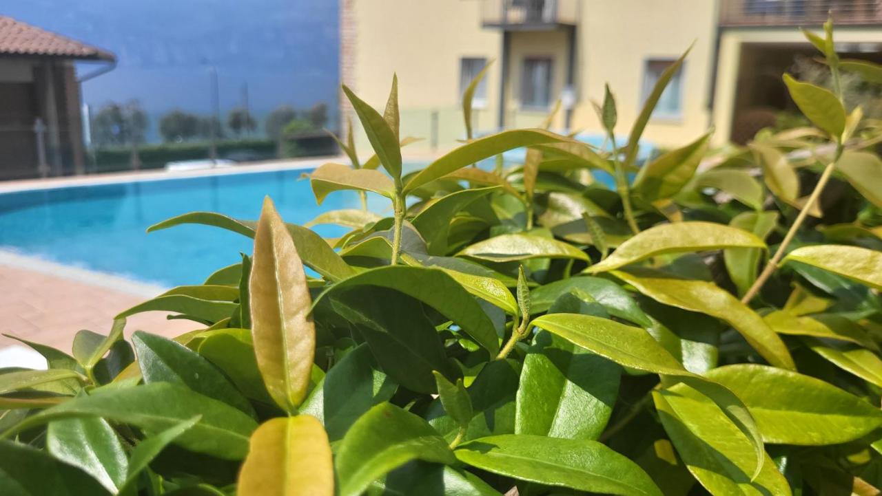 Camera Matrimoniale Budget 