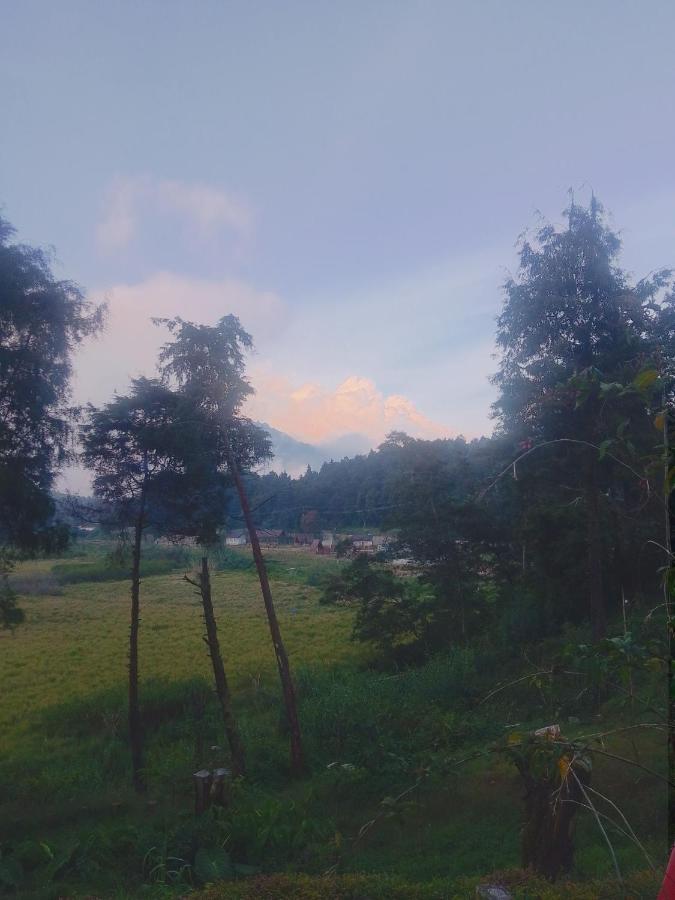 Dieng glamping syari'ah - B&B Dieng