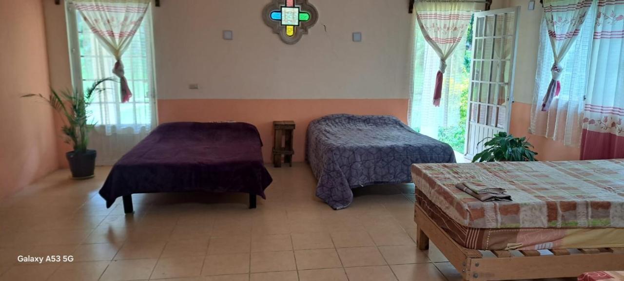 Bett im gemischten Schlafsaal mit 10 Betten