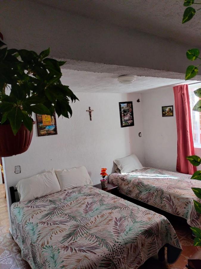 Quiet and beautiful apartment - Ferienwohnung Orizaba