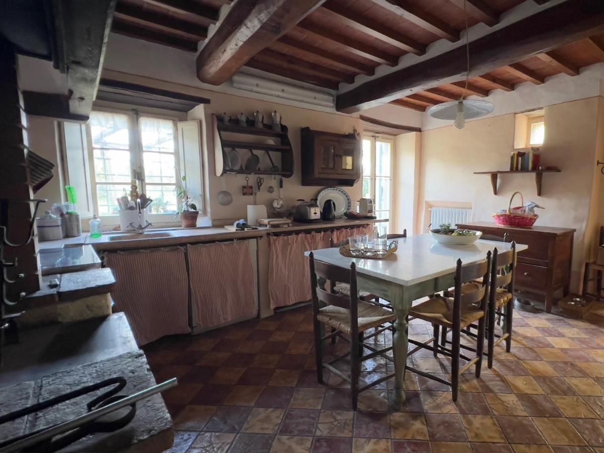 Villa Elena Tuscany - Pool & Garden Arezzo - IHH - Ferienwohnung Vitiano