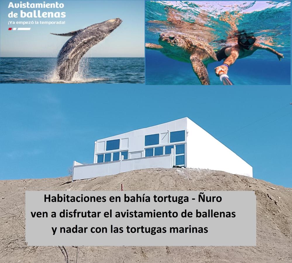 Habitaciones Bahia de las Tortugas Ñuro - Chambres d’hôtes El Ñuro
