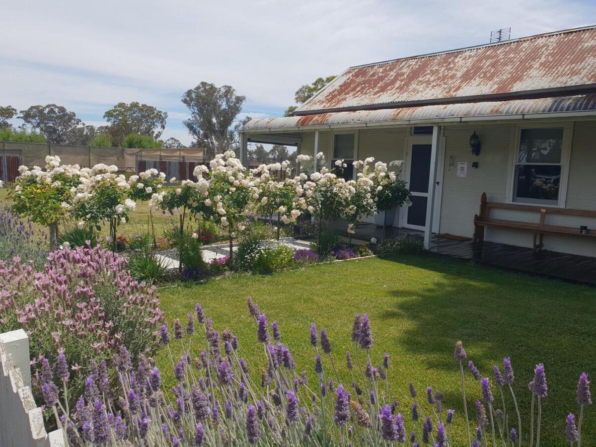 Yallamatta Bed and Breakfast - B&B Apsley