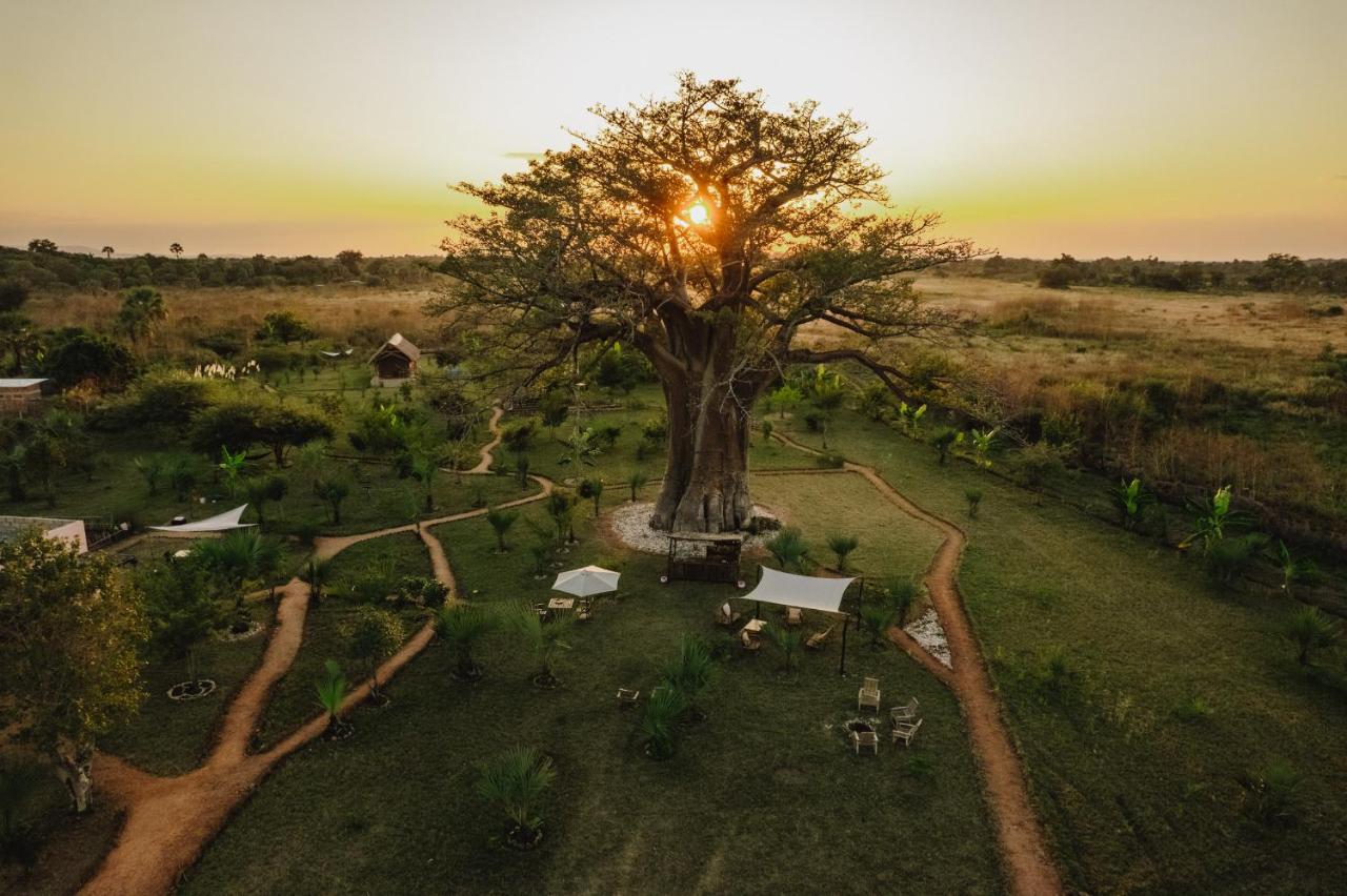 Muzanga Eco Guesthouse - B&B Mfuwe